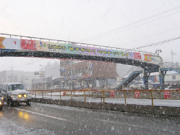 2005&nbsp;광주광역시&nbsp;자원봉사자대회